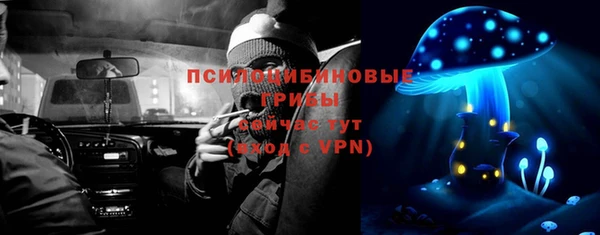 шишки Фёдоровский