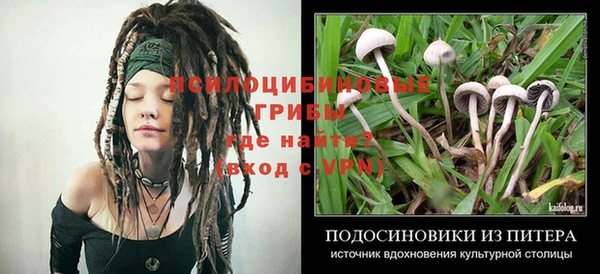 дживик Зеленодольск
