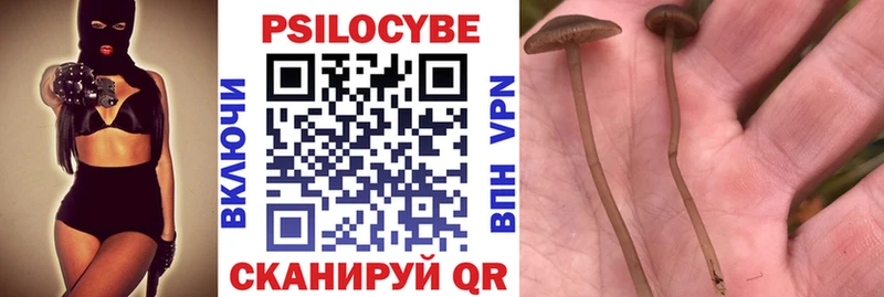 Псилоцибиновые грибы Psilocybine cubensis  Тырныауз 